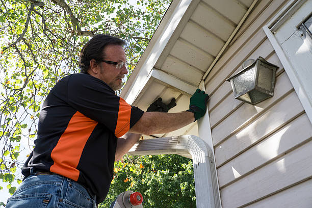 Best Shed Removal  in South Fallsburg, NY
